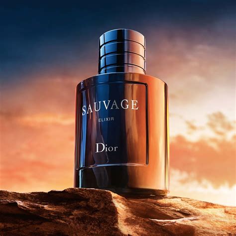 dior bois sauvage|sauvage dior fragrantica.